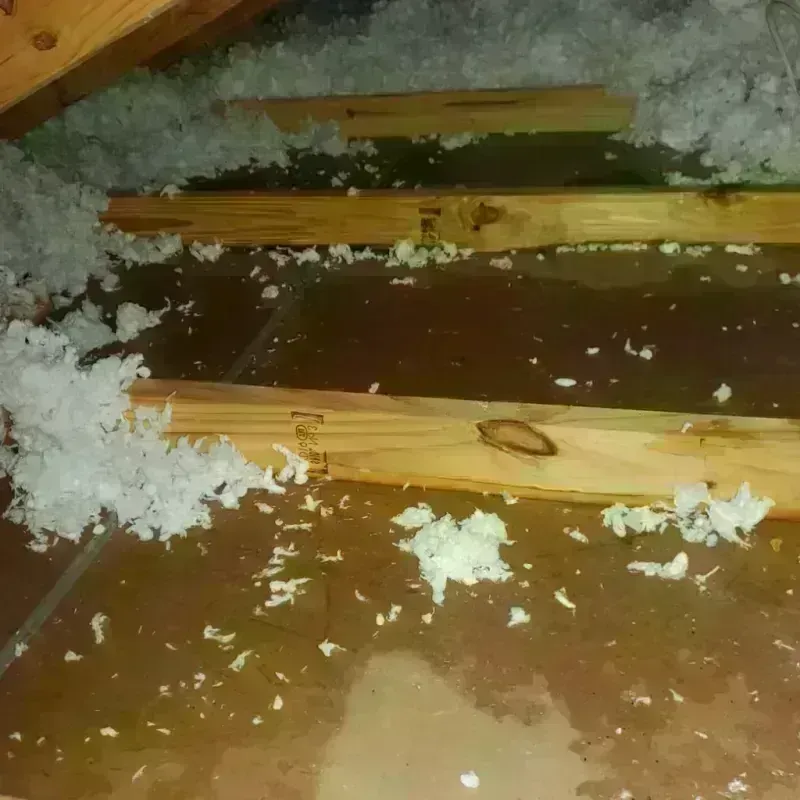 Attic Water Damage in Titusville, PA